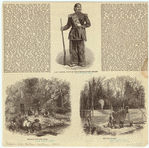Image ID 806953