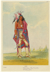 Image ID 806955