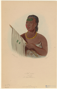 Image ID 806972