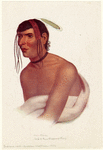 Image ID 806983