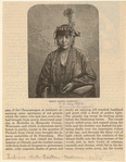 Image ID 806984