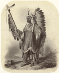 Image ID 806988