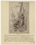 Image ID 807002