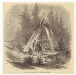 Image ID 807004