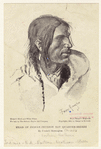 Image ID 807006