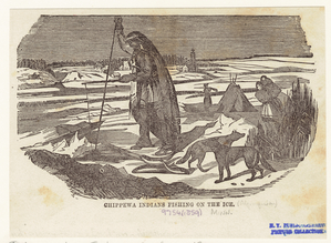 Image ID 807016
