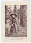 Image ID 807034