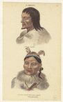 Image ID 807035