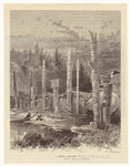 Image ID 807090