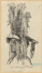Image ID 807124