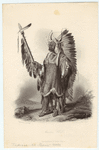 Image ID 807126