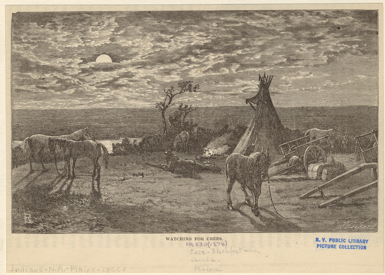 Image ID 807152
