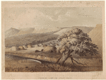 Image ID 807161