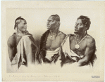 Image ID 807162
