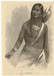 Image ID 807172