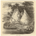 Image ID 807177