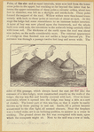 Image ID 807182