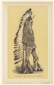 Image ID 807199