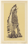 Image ID 807199