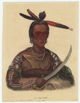 Image ID 807202
