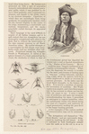 Image ID 807204