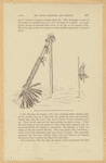 Image ID 807209