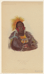 Image ID 807222