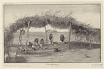 Image ID 807224
