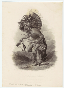 Image ID 807237