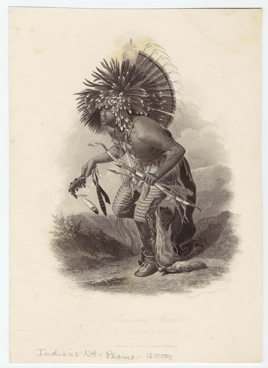 Image ID 807237

