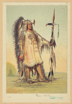 Image ID 807246