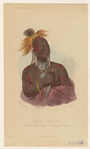 Image ID 807255