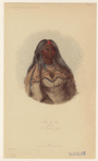 Image ID 807256