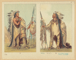 Image ID 807258