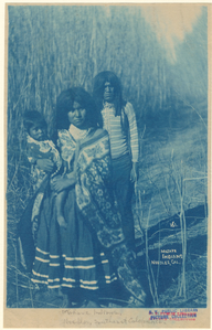 Image ID 807279