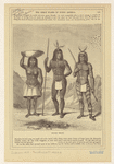 Image ID 807288
