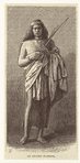 Image ID 807291