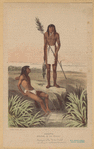 Image ID 807305