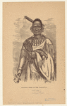 Image ID 807313