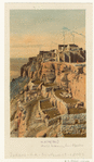 Image ID 807327