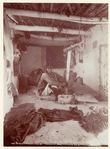Image ID 807351
