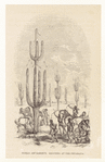 Image ID 807365
