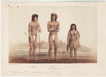 Image ID 807376