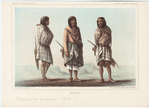 Image ID 807377