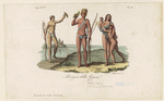 Image ID 807392