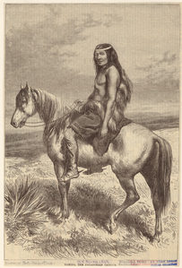 Image ID 807394