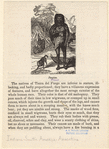 Image ID 807395