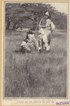 Image ID 807401