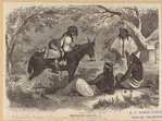 Image ID 807405