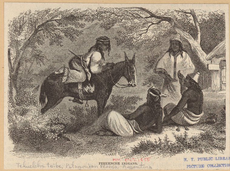Image ID 807405
